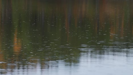 Encuentre-Consuelo-Junto-Al-Tranquilo-Lago-Mientras-La-Lluvia-Cae-Suavemente,-Reflejando-La-Escena-Pacífica-En-La-Superficie-Del-Agua,-Un-Momento-Sereno-De-Relajación-En-Medio-Del-Abrazo-De-La-Naturaleza.