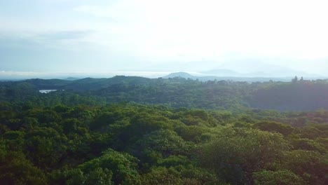 Exuberante-Selva-Tropical-Con-Vistas-Al-Lago-Del-Cráter-Nyiambuga-En-Fort-Portal,-África-Occidental-De-Uganda