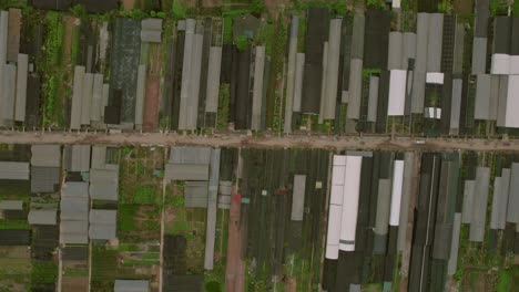 Top-down-view-of-Hanoi,-Vietnam,-showcasing-long-tailed-rooftops-of-buildings-used-for-various-productions