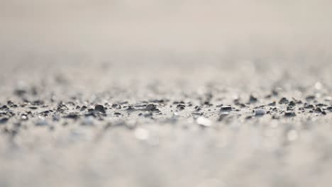 White-sand-covered-with-crumbled-dry-seaweed-and-kelp