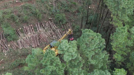 Vista-Aérea-Panorámica-De-Una-Cosechadora-Taladora-Apiladora-Desramando-Un-árbol