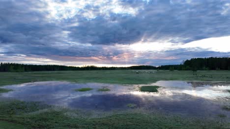 A-beautiful-evening-landscape-with-clouds-reflecting-in-a-field-of-water