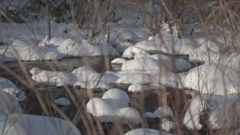 Snow-covered-stream-in-Iwanai,-Hokkaido,-Japan-during-winter-surrounded-by-snowy-trees-and-bushes