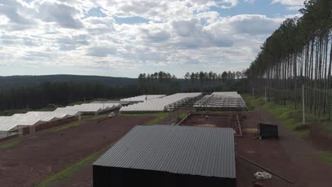 An-aerial-view-of-a-modern-horticultural-production-facility-in-Misiones,-Argentina,-showcasing-greenhouses-and-surrounding-pine-trees-on-a-partly-cloudy-day