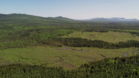 Luftaufnahme-Eines-Moors-In-Den-Wäldern-Von-Maine