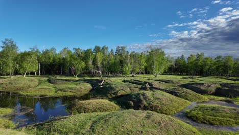 Imágenes-Panorámicas-De-Un-Tranquilo-Valle-En-Rusia,-Con-Exuberante-Hierba-Verde,-Un-Arroyo-Sinuoso-Y-Un-Fondo-De-árboles.