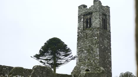 Ancient-stone-church-and-tree-at-the-Hill-of-Slane,-County-Meath,-Ireland