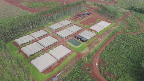 A-drone-shot-showcasing-a-vast,-modern-hothouse-facility-in-Misiones,-Argentina,-dedicated-to-horticultural-production