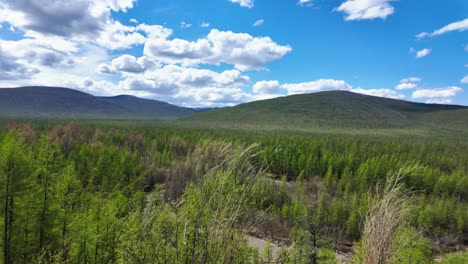 Hermosas-Imágenes-Aéreas-De-Un-Río-Que-Fluye-A-Través-De-Un-Exuberante-Bosque-Verde-En-Siberia