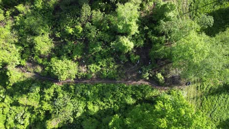 Vegetationsmanagement-Durch-Ziegen-–-Ziegen-Werden-Eingesetzt,-Um-Unerwünschte-Vegetation-Auf-Natürliche-Weise-Zu-Kontrollieren-Und-Das-Risiko-Von-Waldbränden-Zu-Verringern