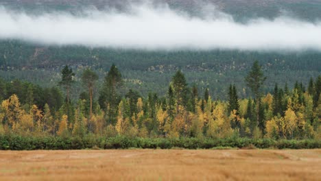 Nubes-Bajas-Y-Claras-Cuelgan-Sobre-El-Bosque-Mixto-De-Otoño-Como-Un-Campo-De-Trigo-Maduro