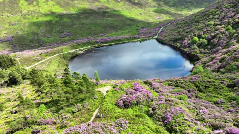 Irlands-Epische-Orte,-Menschen,-Die-An-Einem-Lebhaften-Sommertag-Auf-Wanderwegen-Zum-Aussichtspunkt-Oberhalb-Von-Bay-Lough-In-Den-Knockmealdown-Mountains-In-Tipperary-Wandern