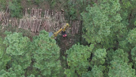 Panning-in-closer-to-feller-buncher-harvester-clearing-and-stacking-trees