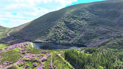 Irlanda-Lugares-épicos-Drone-Paisaje-Espectacular-El-Paso-Vee-Montañas-Derribadas-En-Tipperary-Con-Rododendros-Un-Derroche-De-Colores-En-Un-Paisaje-Espectacular