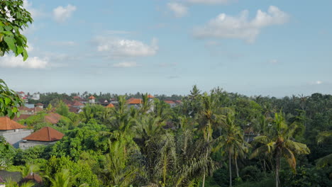 Casas-Cubiertas-De-Altos-Cocoteros-Tropicales-En-Ubud,-Bali,-Indonesia.