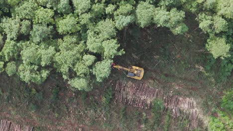 Circling-aerial-of-feller-buncher-clearing-an-area-of-trees