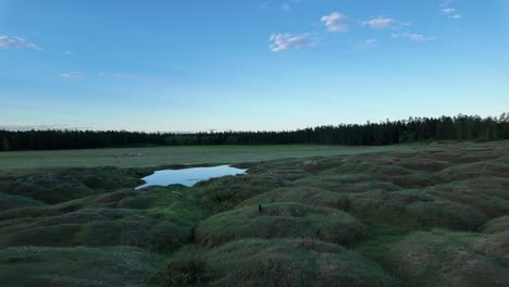 A-serene-evening-scene-with-a-small-pond-nestled-in-rolling-green-hills-under-a-blue-sky