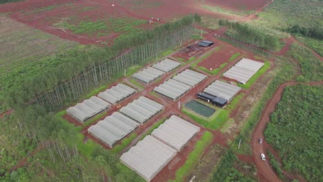 Drone-footage-captures-an-aerial-view-of-a-large-scale-horticultural-production-facility-in-Argentina,-Misiones,-showcasing-rows-of-greenhouses-and-red-fertilized-soil