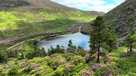 Irlands-Epische-Orte,-Kneifen-Sie-Sich,-Beauty-Bay-Lough-The-Vee-Tipperary-Irland,-Eingebettet-In-Die-Rauen-Knockmealdown-Mountains