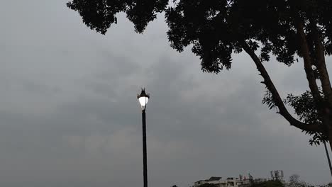 Farola-Y-Vista-De-árbol-Con-Cielo-Nublado-En-El-Fondo,-Full-Hd