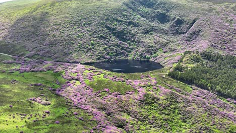 Ireland-Epic-locations-drone-panorama-of-the-colours-of-summer-in-Bay-Lough-Tipperary-tourist-destination-in-the-Knockmealdown-Mountains