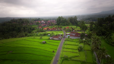 Flying-Over-Rice-Fields-In-The-Sidemen-Valley-Near-Mount-Agung-In-Bali,-Indonesia