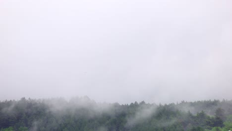 Timelapse-of-misty-fog-covering-a-mountain-with-pine-tree-forest