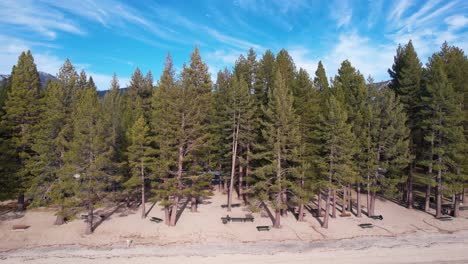 Aerial-View-of-Beach-on-Lake-Tahoe-USA-and-Coastal-Pine-Forest-on-Sunny-Winter-Day,-Drone-Shot