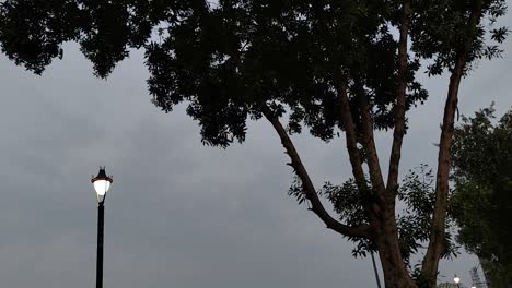 Street-lamp-and-trees-in-a-city-park-against-a-background-of-cloudy-sky,-Full-HD