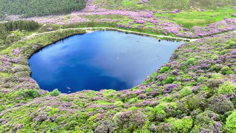 Lugares-épicos-De-Irlanda-El-Dron-Mira-Hacia-Abajo-Desde-El-Bosque-De-Rododendros-En-La-Montaña-Hasta-El-Lago-Con-Gente-Remando-Y-Otros-Caminando-Por-Los-Senderos-De-La-Bahía-De-Lough-The-Vee-Tipperary