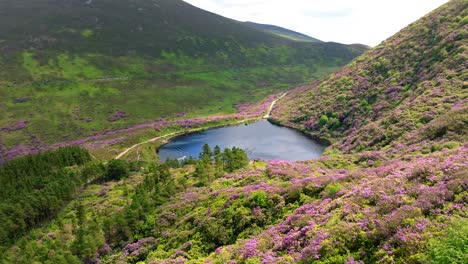 Irlands-Epische-Orte-Rhododendronwald-Und-See,-Der-Vee-Pass-In-Den-Knockmealdown-Mountains,-Atemberaubende-Landschaft