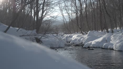 Snowy-river-flowing-through-a-serene-forest-in-Hokkaido,-Japan-during-winter