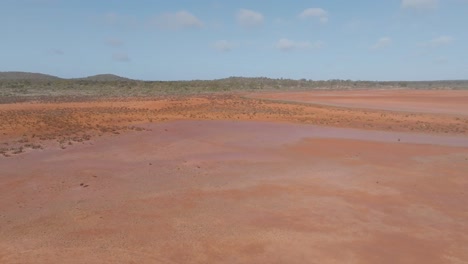 Schwenk-Drohnenclip,-Der-Das-Karge-Westaustralische-Wüsten-Outback-Mit-Leuchtend-Orangefarbenem-Boden-Und-Blauem-Himmel-Zeigt