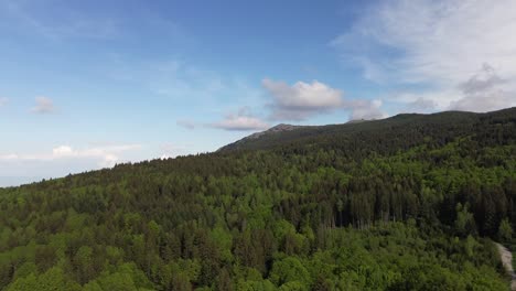 Un-Dron-Se-Eleva-Sobre-El-Parque-Nacional-De-Vitosha-En-Bulgaria