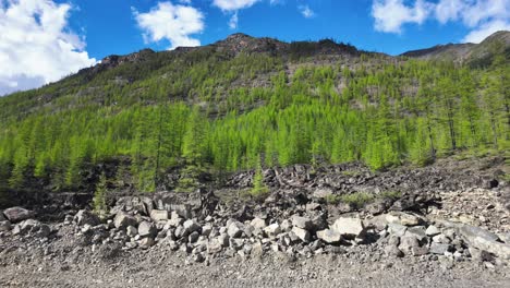 A-view-of-a-rocky-mountain-slope-covered-in-green-coniferous-trees