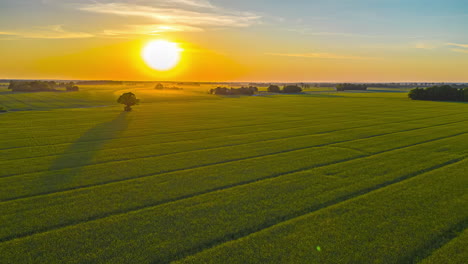 Goldener-Sonnenschein-Leuchtet-über-Grünen-Feldern.-Hyperlapse