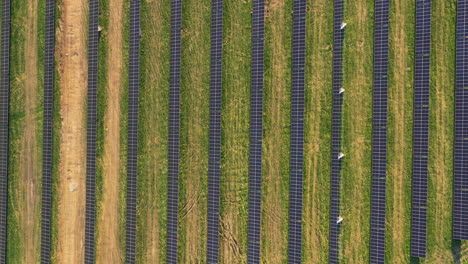 Large-field-of-solar-panels-producing-green-energy-in-sunlight