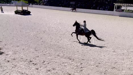 horses-running-at-the-Blowing-Rock-Horse-Show-2024