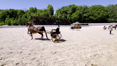 Caballos-Con-Carruajes-En-El-Espectáculo-De-Caballos-De-Roca-Que-Sopla