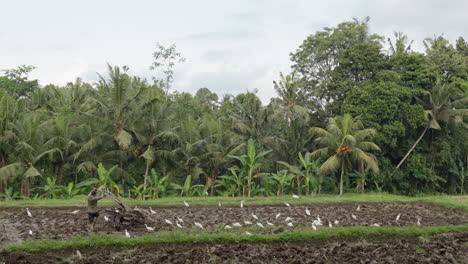 Agricultor-Arando-Tierras-Agrícolas-Utilizando-Un-Tractor-Agrícola-En-Ubud,-Bali,-Indonesia.