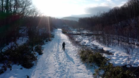 Snowboarder-treks-through-snowy-forest-trail-at-sunrise-in-Hokkaido,-Japan