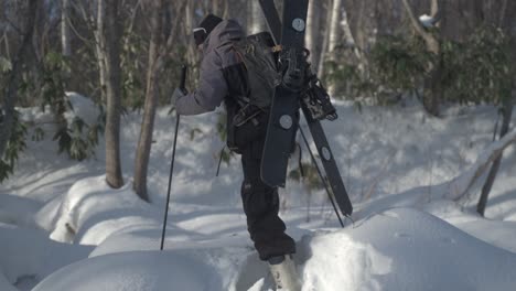 Splitboarder-hikes-through-snowy-forest-with-a-splitboard-in-Hokkaido,-Japan's-famous-Iwanai-area