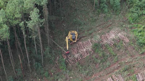 Aerial-of-a-tree-harvester-cutting-and-stacking-trees-in-slow-motion