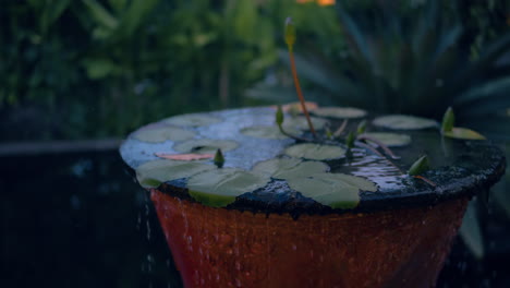 Water-Lily-Pot-On-The-Garden-Of-The-Hindu-Temple-In-Ubud,-Bali-Indonesia