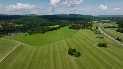 Drone-Empuja-Sobre-Campos-Verdes-En-El-Verano-De-Suecia