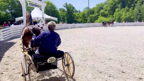 Horse-and-Carriage-at-the-Blowing-Rock-Horse-Show