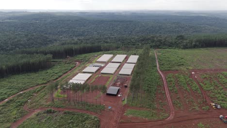 An-aerial-view-of-a-modern-horticultural-production-facility-located-in-Misiones,-Argentina-showcasing-rows-of-greenhouses-and-surrounding-farmland-with-rich-red-fertilized-soil