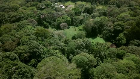 Vuela-Sobre-Un-Denso-Bosque-Hacia-El-Lago-Del-Cráter-En-Uganda