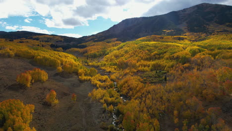 Aerial-View-of-Beautiful-Autumn-Colors,-Yellow-Aspen-Trees-Under-Peaks-and-Clouds-Shadows-in-Landscape-of-Colorado