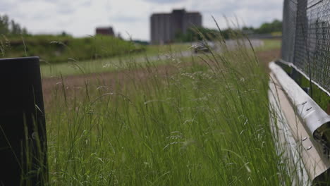 Tall-grass-waving-in-the-wind,-race-track,-car-passing-in-background,-slow-motion